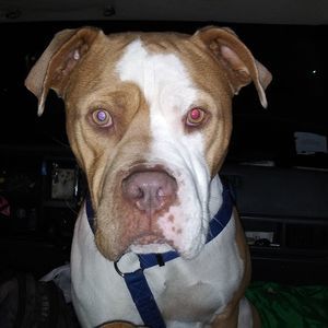 Meet your Posher, Sally